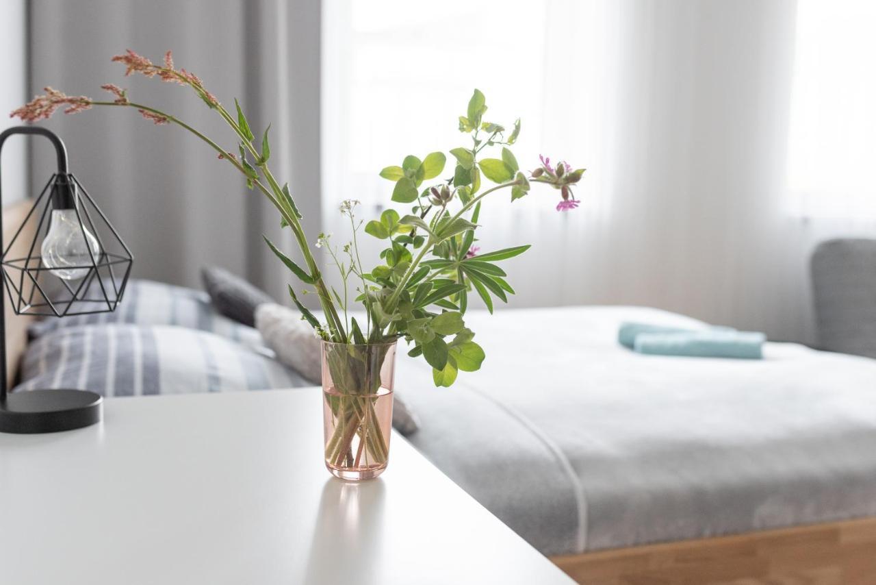 Destne Apartmany Дестне в Орлицки хора Екстериор снимка